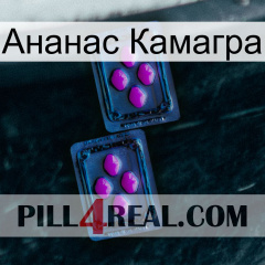 Ананас Камагра 03